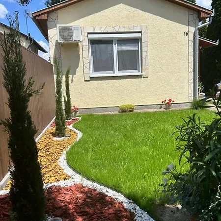 Kisvirag * Hajdúszoboszló